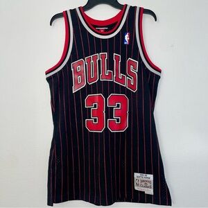 Mitchell & Ness NBA Chicago Bulls Pippen 95-96 HWC Jersey (M)